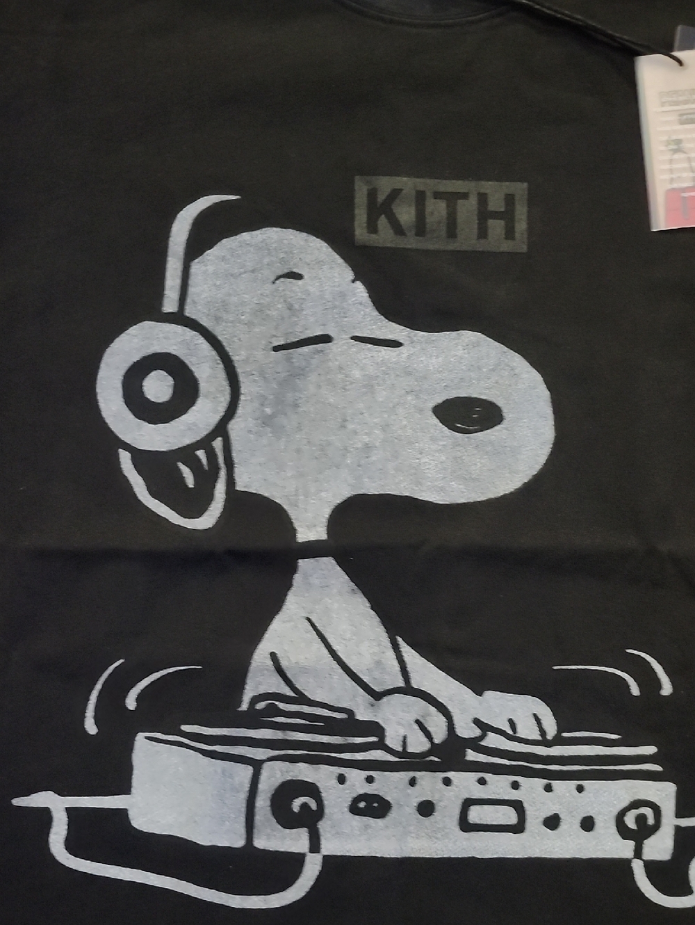 DJ SNOOPY IN THE HOUSE - Picture 4 of 9